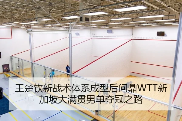 王楚钦新战术体系成型后问鼎WTT新加坡大满贯男单夺冠之路